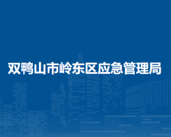双鸭山市岭东区应急管理局