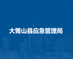 大箐山县应急管理局