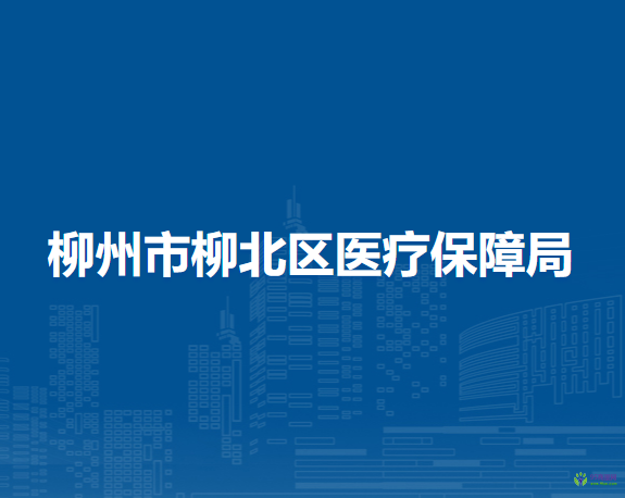 柳州市柳北区医疗保障局