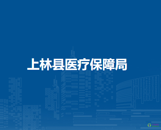 上林县医疗保障局