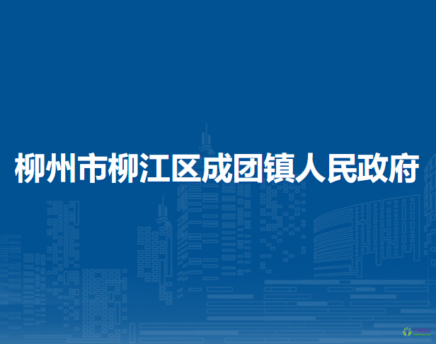 柳州市柳江区成团镇人民政府