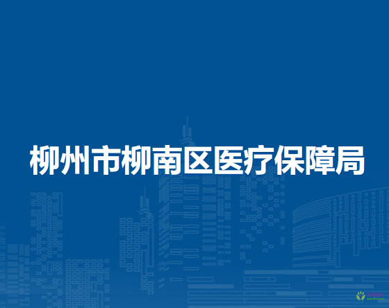 柳州市柳南区医疗保障局