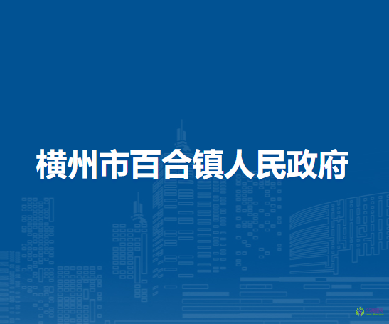 横州市百合镇人民政府