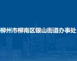 柳州市柳南区银山街道办事处