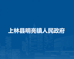 上林县明亮镇人民政府