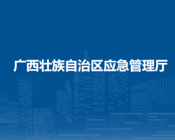 广西壮族自治区应急管理厅