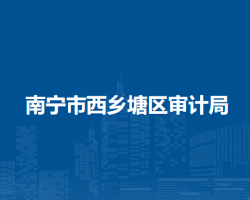 南宁市西乡塘区审计局