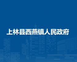 上林县西燕镇人民政府