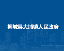 柳城县大埔镇人民政府