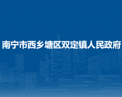 南宁市西乡塘区双定镇人民政府