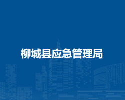 柳城县应急管理局