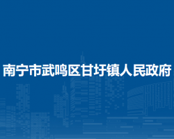 南宁市武鸣区甘圩镇人民政府