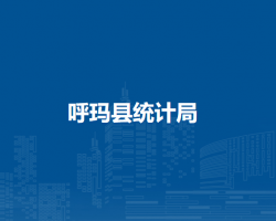 呼玛县统计局