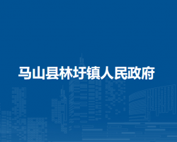 马山县林圩镇人民政府