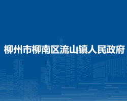 柳州市柳南区流山镇人民政府