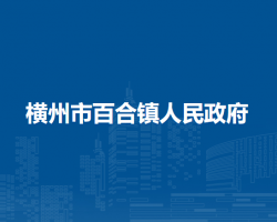 横州市百合镇人民政府