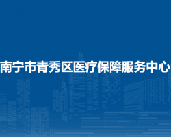南宁市青秀区医疗保障服务中心