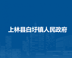 上林县白圩镇人民政府