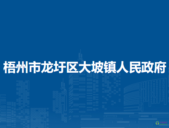 梧州市龙圩区大坡镇人民政府