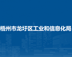 梧州市龙圩区工业和信息化