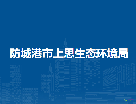 防城港市上思生态环境局