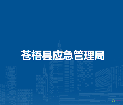 苍梧县应急管理局
