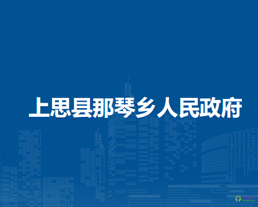 上思县那琴乡人民政府