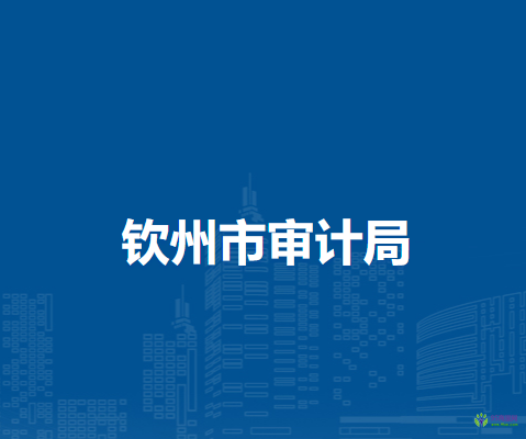 钦州市审计局