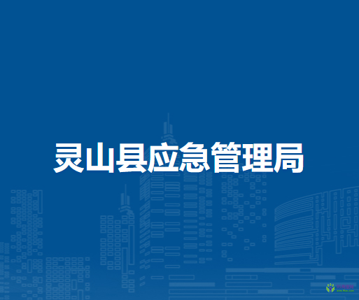灵山县应急管理局