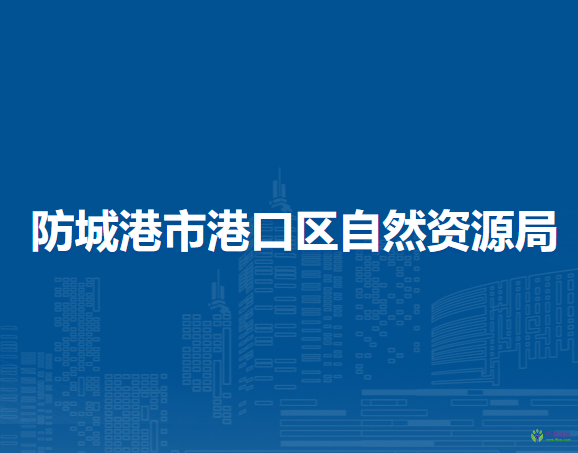 防城港市港口区自然资源局