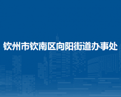 钦州市钦南区向阳街道办事处