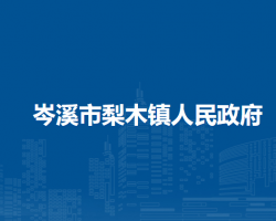 岑溪市梨木镇人民政府