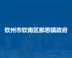 钦州市钦南区那思镇政府