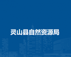 灵山县自然资源局