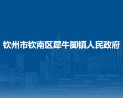 钦州市钦南区犀牛脚镇人民政府