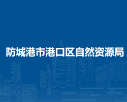 防城港市港口区自然资源局