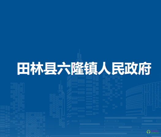 田林县六隆镇人民政府