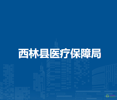 西林县医疗保障局