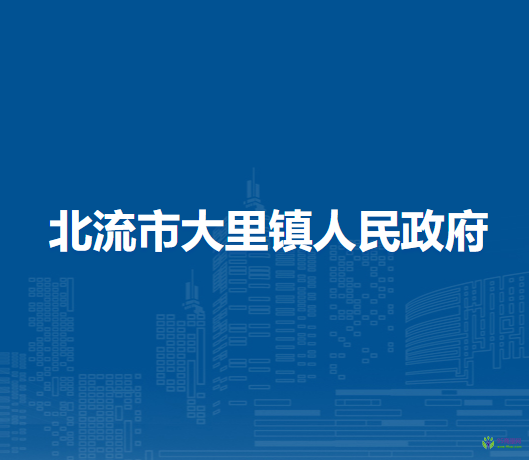 北流市大里镇人民政府
