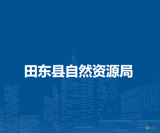 田东县自然资源局