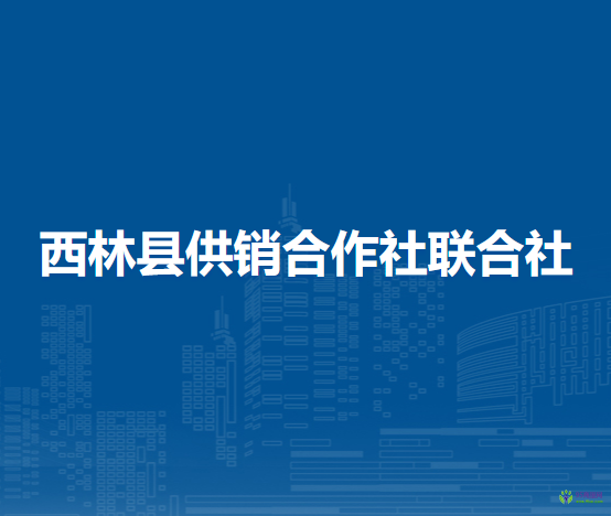 西林县供销合作社联合社