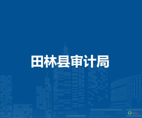 田林县审计局