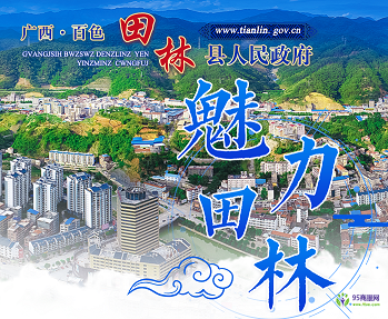 田林县人民政府