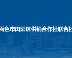 百色市田阳区供销合作社联合社