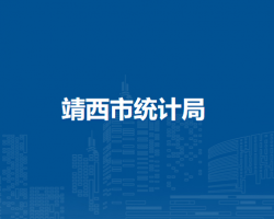 靖西市统计局