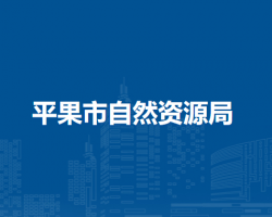 平果市自然资源局