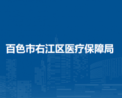 百色市右江区医疗保障局
