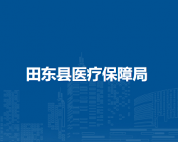 田东县医疗保障局
