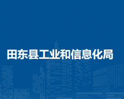 田东县工业和信息化局