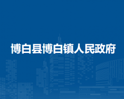 博白县博白镇人民政府